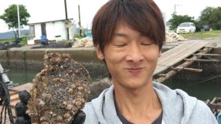 めっちゃデッカい岩牡蠣が水揚げされてます(笑)