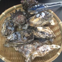 糸島産みるくがき