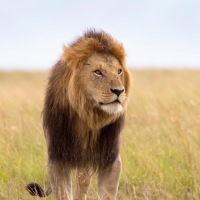 あいにくの天気(^_−)−☆